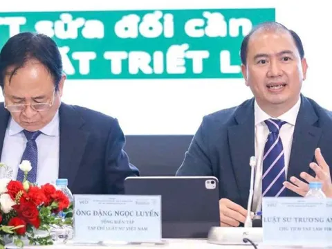 'Vi phạm thương hiệu mang lại lợi nhuận cả chục tỉ nhưng xử phạt chỉ vài chục triệu'