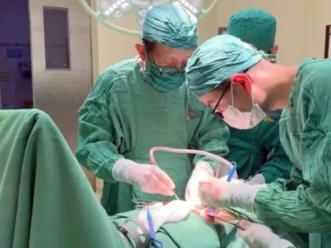 Sức khỏe nạn nhân sống sót vụ thảm án tại Đắk Lắk tạm thời ổn định