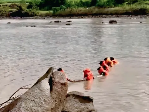 Tắm sông, 2 trẻ tiểu học chết đuối