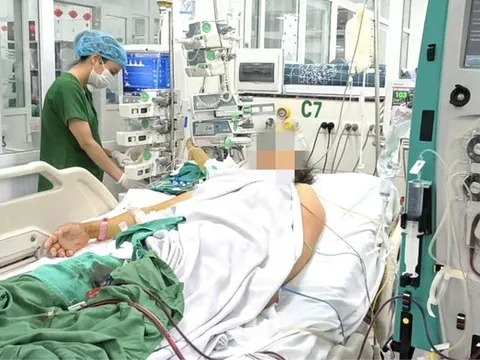 Sốt xuất huyết bùng phát, người lớn, người cao tuổi liên tục nhập viện