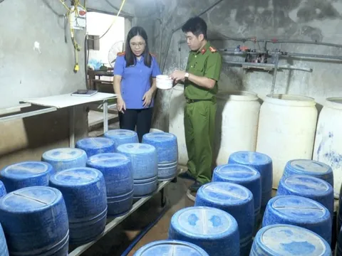 Tự chế 'nước kẹo' làm giá đỗ, trong giá có chất 'không được phép'