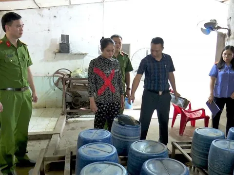 Khởi tố người phụ nữ dùng hóa chất sản xuất giá đỗ