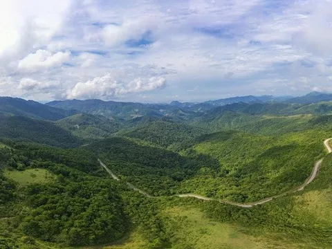 Quảng Ninh có hơn 36.300ha rừng "bền vững"