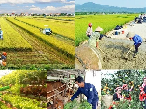 Đề xuất mới về cơ chế quản lý, tổ chức thực hiện các chương trình mục tiêu quốc gia