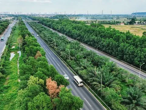 Cục Đường bộ phản hồi Cục CSGT việc 'không trồng cây ở dải phân cách giữa cao tốc'