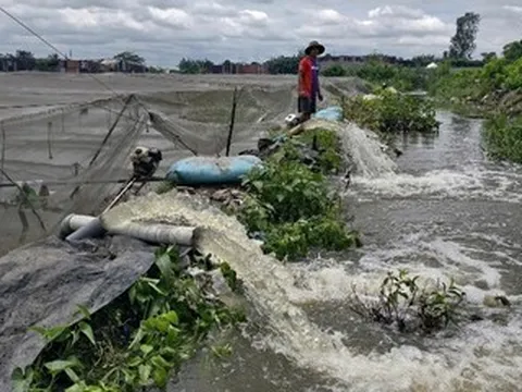 Chỉ sau một cơn mưa, vườn rau của nông dân TPHCM tan hoang như chưa từng tồn tại