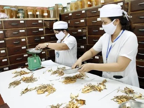 Phát huy hơn nữa vị thế, vai trò của y học cổ truyền trong chăm sóc sức khỏe nhân dân