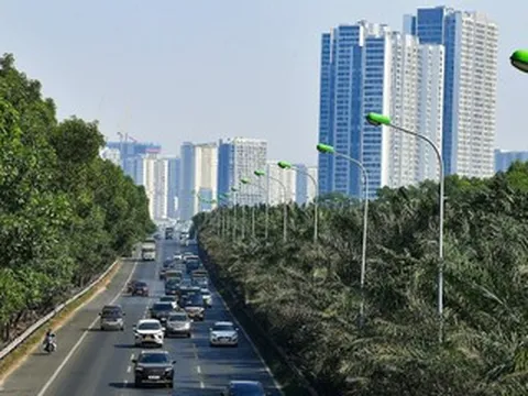 Trồng được 1 cây xanh trên cao tốc rất khó, sao lại bỏ đi?