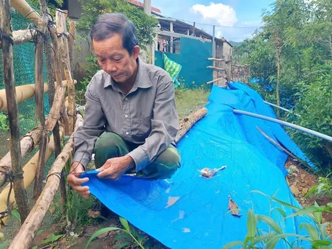 CHUYỆN LẠ: Người dân che bạt... ngăn sạt lở suối