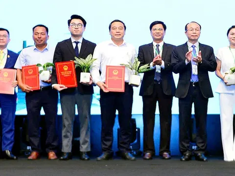 Kỳ vọng Huế thành đô thị xanh kiểu mẫu