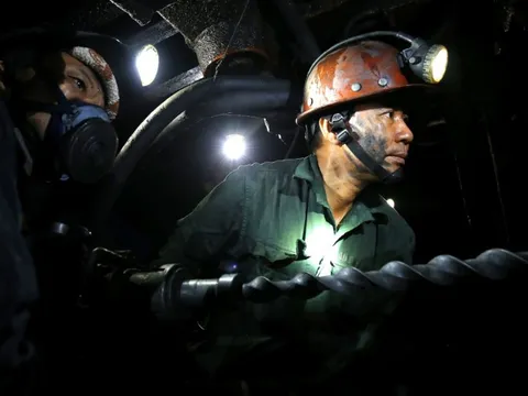 Công ty con của TKV vừa bị phạt thuế làm ăn ra sao?