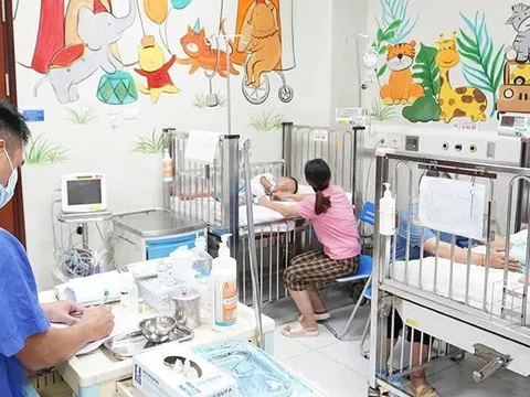 Theo bà lên nương, trẻ 3 tuổi qua đời do bị ong đốt 80 vết