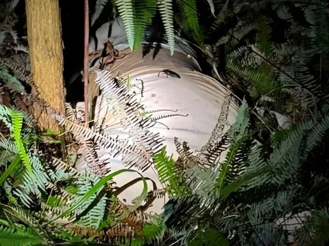 Phát hiện thi thể người phụ nữ trong bao tải ở Quảng Ninh