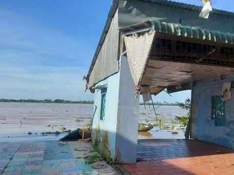 Đồng Tháp chỉ đạo xử lý vụ 7 căn nhà sạt lở xuống sông Tiền