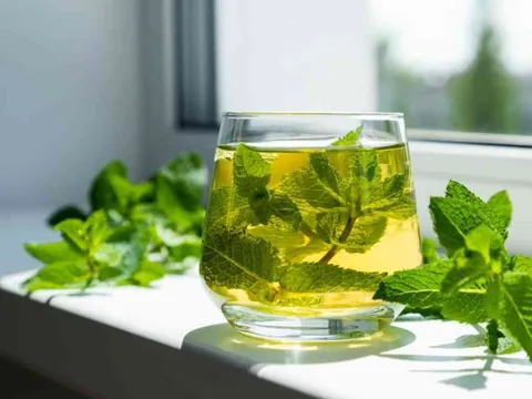 Bạc hà có thể thanh lọc gan chỉ trong vài ngày?