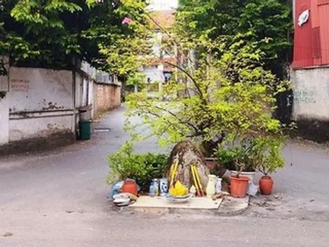 Hòn đá bí ẩn 'mọc' giữa ngã ba đường và những chuyện kỳ lạ