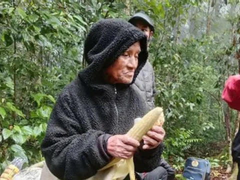Bí quyết sống sót suốt nhiều ngày lạc trong rừng của cụ ông 78 tuổi