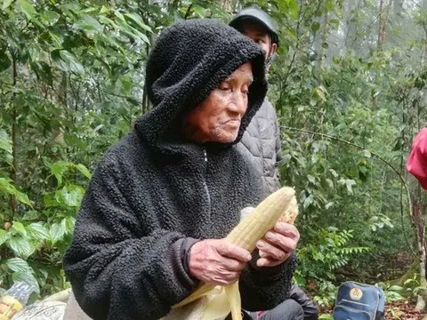 Phép màu giữa rừng già: Cụ ông 78 tuổi mất tích 6 ngày được tìm thấy còn sống