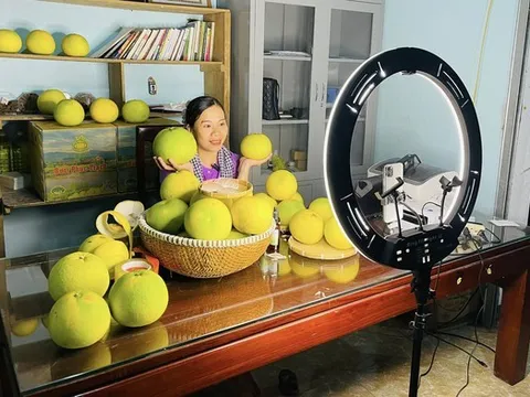 Từ vườn đồi đến sàn thương mại điện tử: Cú "lột xác" của "đệ nhất danh quả" Hà Tĩnh