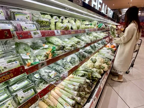 'Choáng' với con số diện tích rau trồng theo tiêu chuẩn VietGAP ở Việt Nam