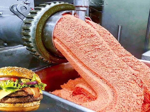 Thương hiệu - những bài học bảo vệ uy tín - Kỳ 4: McDonald's thay thịt bò bằng giun đất?