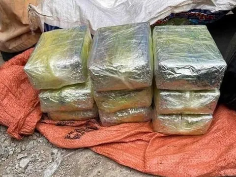 Triệt phá đường dây ma túy liên tỉnh, khởi tố 73 đối tượng