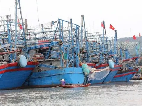 Nghệ An quyết liệt thực hiện các giải pháp chống khai thác IUU