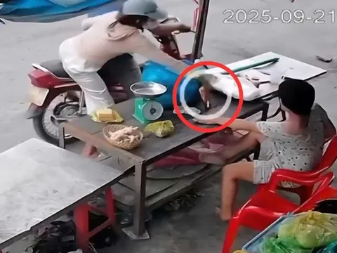 Vụ người phụ nữ khuyết tật tử vong sau một ngày bị giật điện thoại: Bắt giữ nghi phạm thứ hai