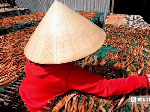 Hương vị đồng quê ở “thủ phủ” cá khô miền Tây