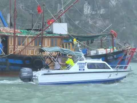 Bão số 9 Ragasa suy yếu thành áp thấp nhiệt đới