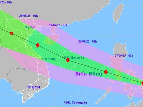 Bão Bualoi mạnh lên 3 cấp sau một ngày, đêm nay vào Biển Đông