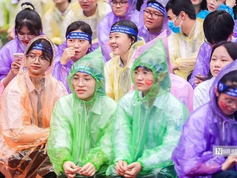 Bộ GD&ĐT: Tăng cường ứng phó bão số 9, sẵn sàng ứng phó bão số 10