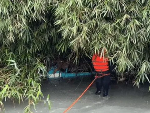 Cảnh đáng sợ trên loạt cầu dân sinh khiến người dân 'thót tim' khi đi qua