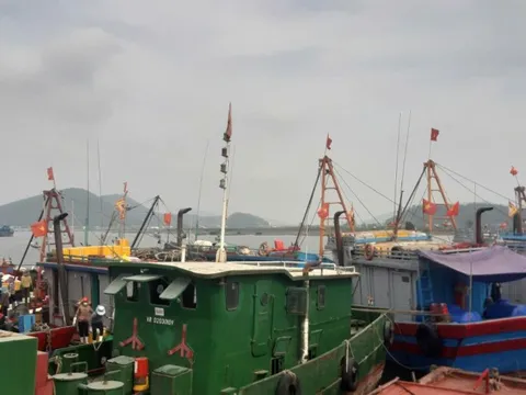 Bão số 10 Bualoi giật cấp 15, sóng biển cao 8-10 m: Hỏa tốc cấm tàu thuyền ra khơi