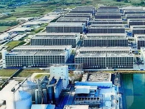 Chính thức ký với đối tác Trung Quốc thực hiện mô hình nuôi heo trong nhà cao tầng