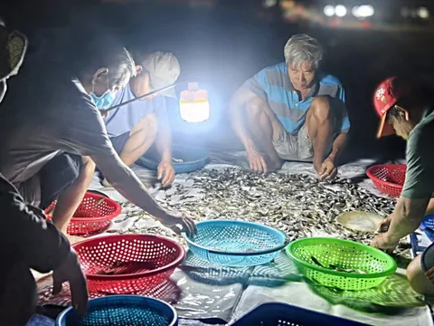 Chợ cá lúc bình minh ven biển Đà Nẵng