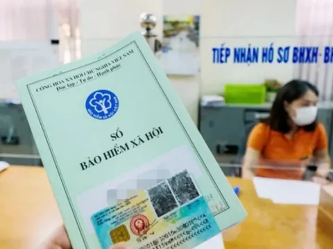 Hà Nội: Các trường được hỗ trợ đóng bảo hiểm theo Luật Thủ đô