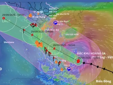 Tin mới nhất bão số 10 Bualoi: Cách Đà Nẵng 150km, tỉnh nào rủi ro thiên tai cấp 4?