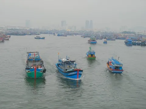 Tàu cá Gia Lai với 8 ngư dân mất liên lạc ngoài khơi