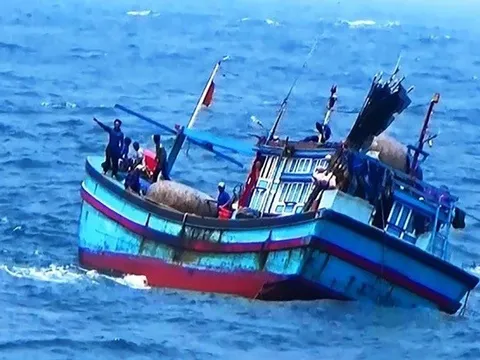 Gia Lai: Khẩn cấp tìm kiếm tàu cá với 8 ngư dân mất liên lạc ngoài khơi