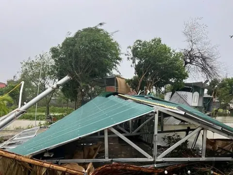 Phó Thủ tướng: Tập trung khắc phục hậu quả do bão số 10 Bualoi gây ra