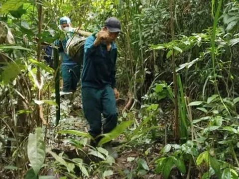 Tìm thấy thi thể 2 người đàn ông mất tích ở Đà Nẵng