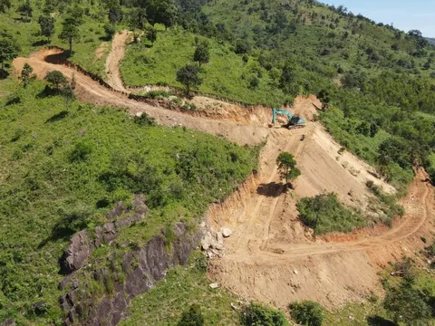 Tỉnh Gia Lai chỉ đạo làm rõ việc núi Chư Nâm bị tàn phá