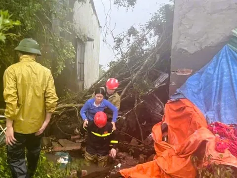 Một bí thư thôn ở Thanh Hóa bị cây đè tử vong khi đi chống bão số 10 Bualoi