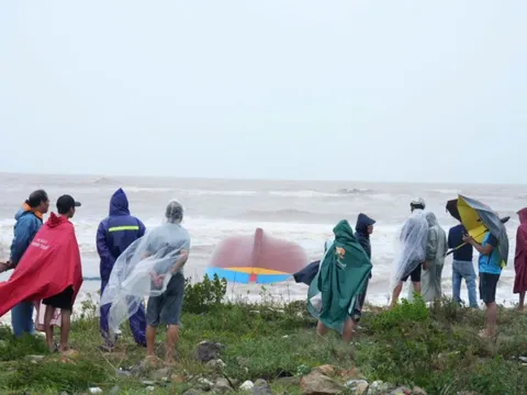 Bão số 10 khiến 19 người chết, nhiều người mất tích và mất liên lạc