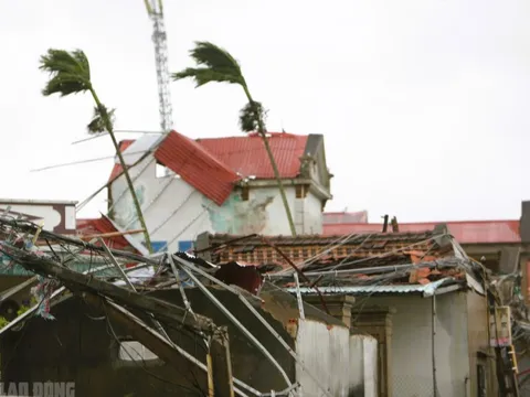 Số người thương vong do bão số 10 tăng cao, tàn phá hàng trăm ngàn ngôi nhà