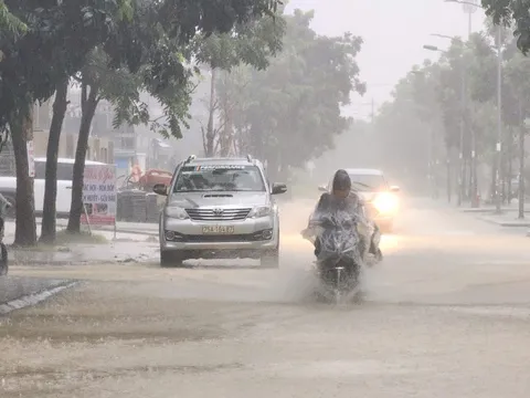 Bualoi gây tai họa