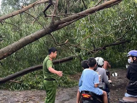 Phường 'cửa ngõ' của TP.HCM thiệt hại lớn do mưa lớn