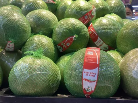 Khi nào trái bưởi Việt Nam được xuất chính ngạch vào Trung Quốc?