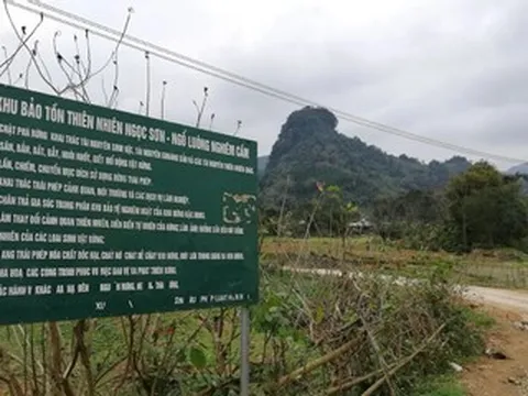 Vụ phát hiện cá thể nghi là hổ ở Phú Thọ: Chủ tịch xã thông tin mới nhất